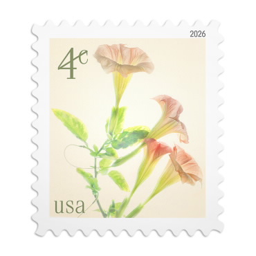 Angel's Trumpets Stamps