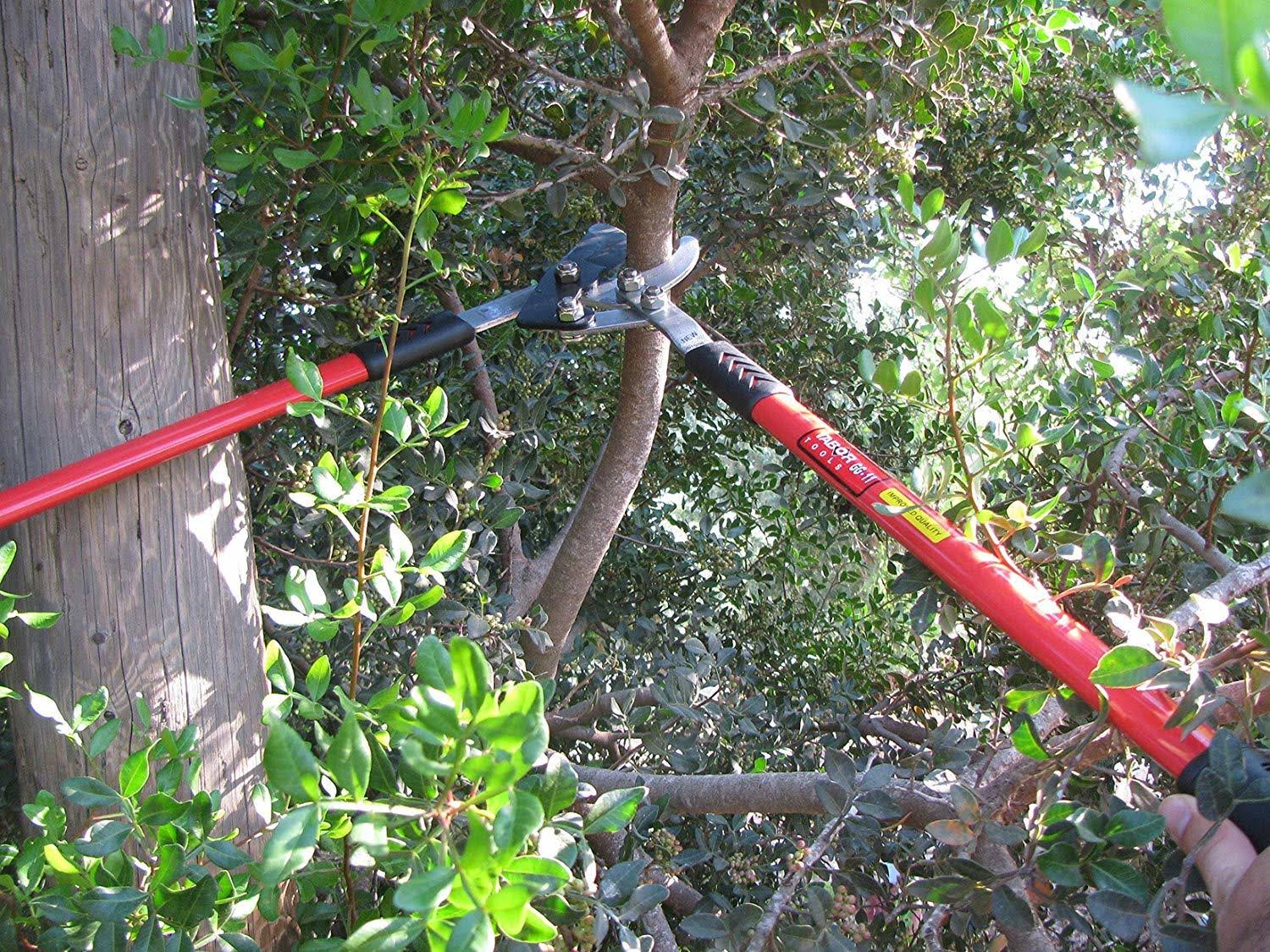 Tabor Tools Gg11 Professional Compound Action Bypass Lopper Chops Thick Branches