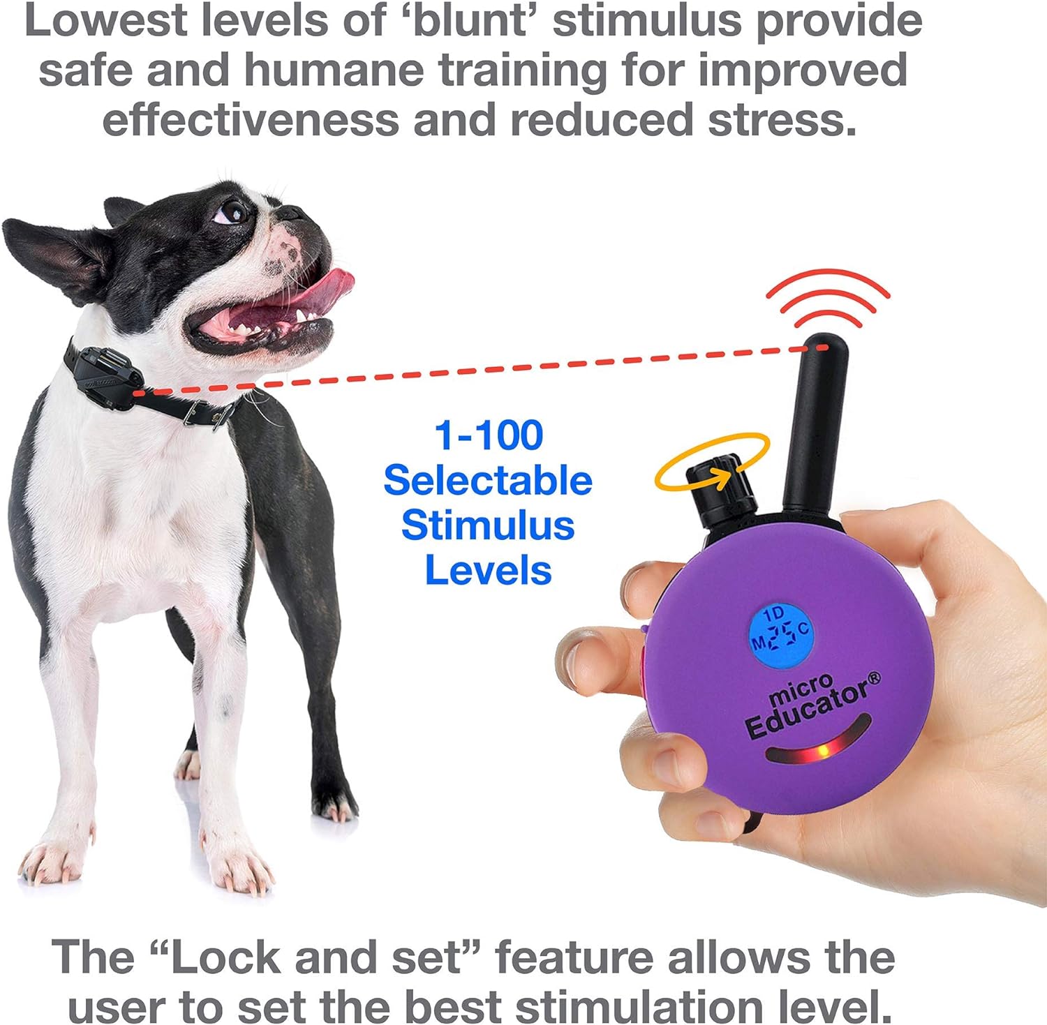 Humane Dog Training Collar with Remote, Features 100 Levels of Safe Stimulation, Tapping Sensation, Night Light, Waterproof, Rechargeable, 1 Mile 1 Dog, Black