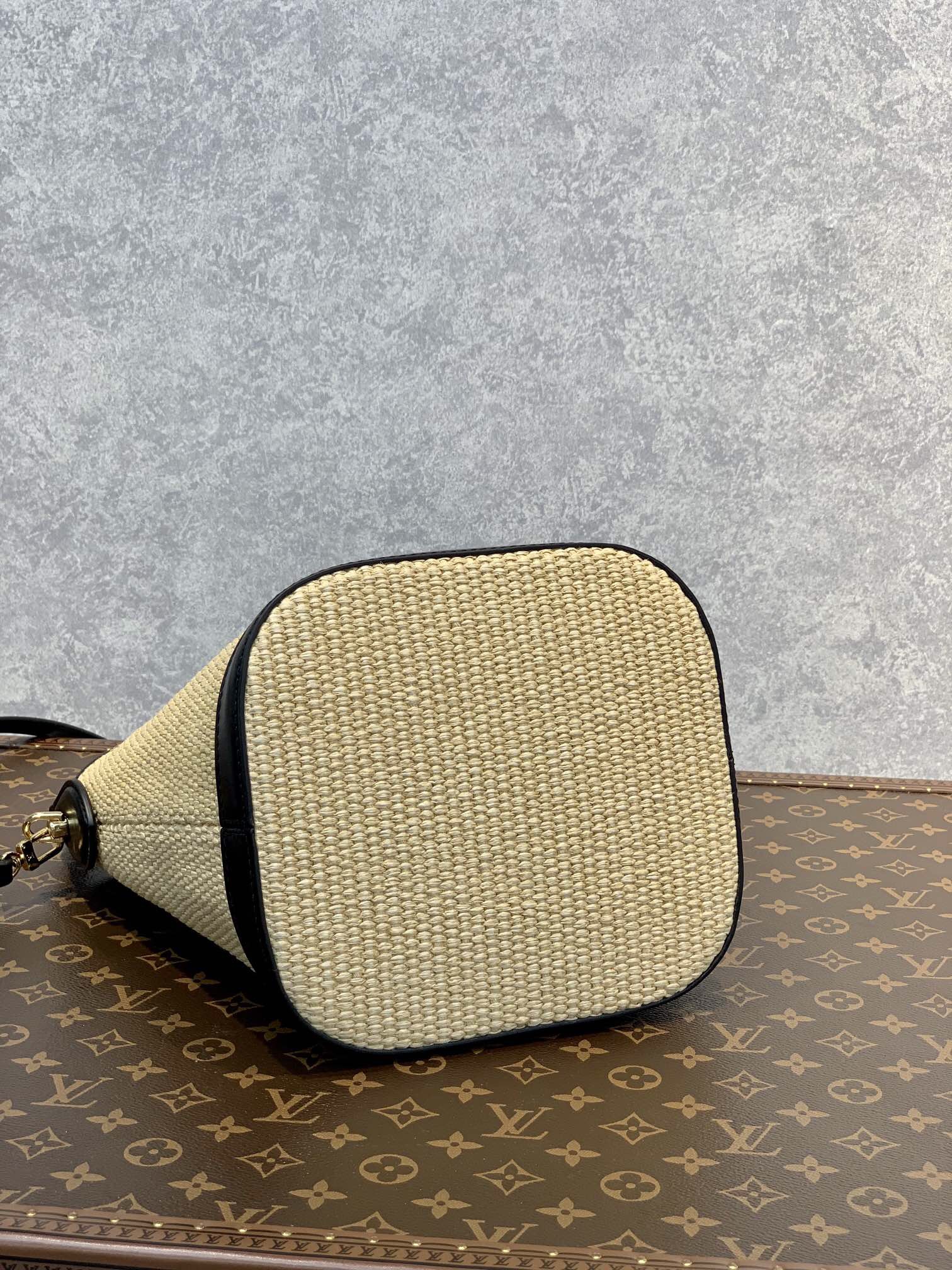 Louis Vuitton Petit Bucket 24Cm Black M59961