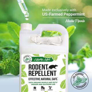 Mighty Mint Gallon (128 oz.) Rodent Natural Peppermint Oil Spray RG-128