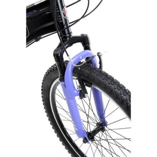 Sidewinder, Mountain Bike, 24 in wheels, Black/Purple, 21 speeds, steel frame