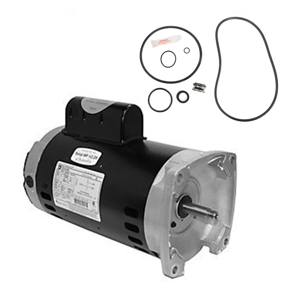 Puri Tech Sta-Rite Max-E-Pro 2HP P6RA6G-207L Replace Motor Kit AO Smith Century USQ1202 w/ GO-Kit-79