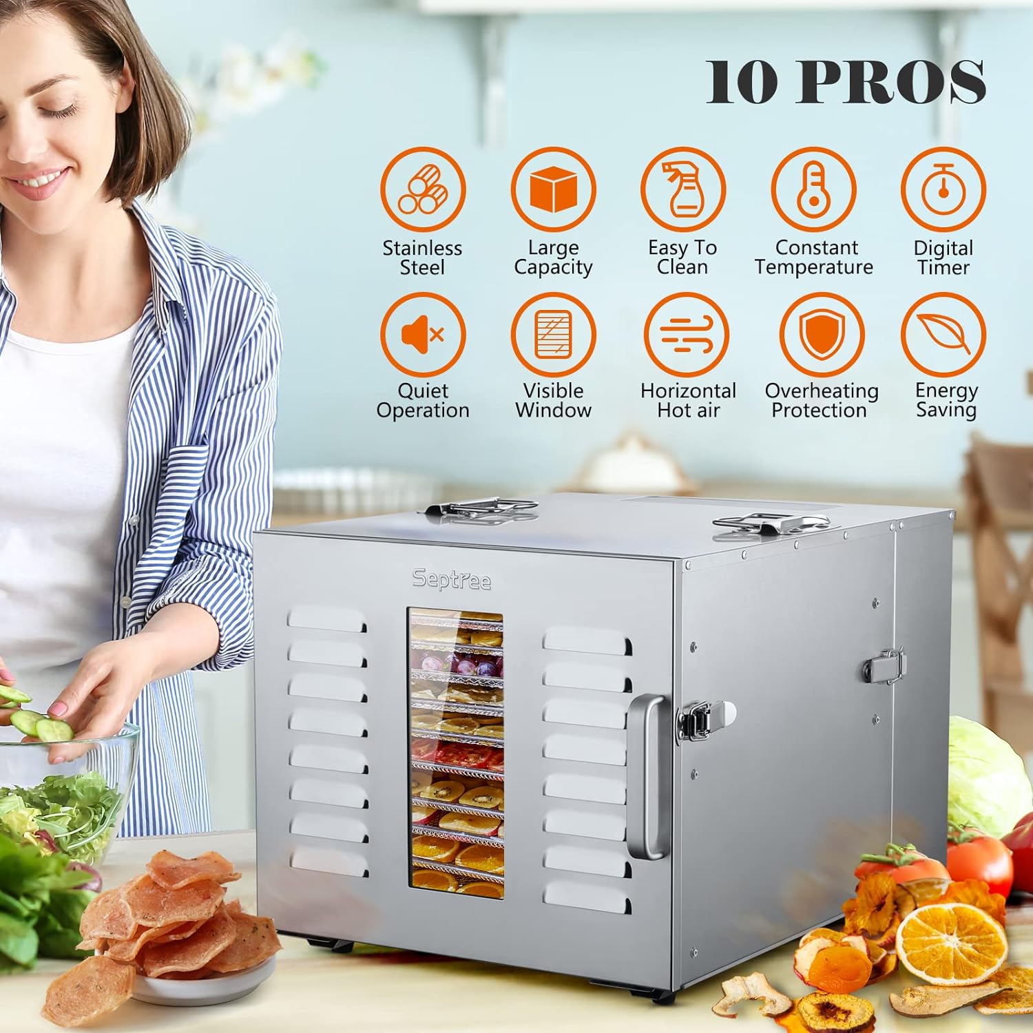 Commercial Large 10 Trays Food Dehydrator, Usable Area up to 17ft², 1000W Detachable Full Stainless Steel Dryer Machine, up to 190℉ Temperature, for Meat, Fruit, Beef, Herbs, and Pet Food
