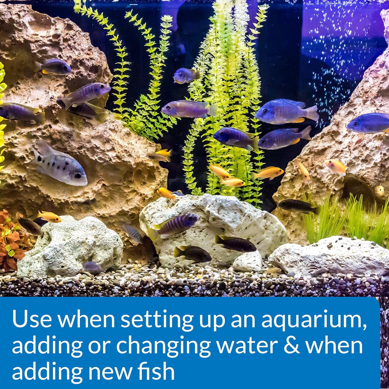 Aquarium Water Conditioner 5-Gallon Bottle