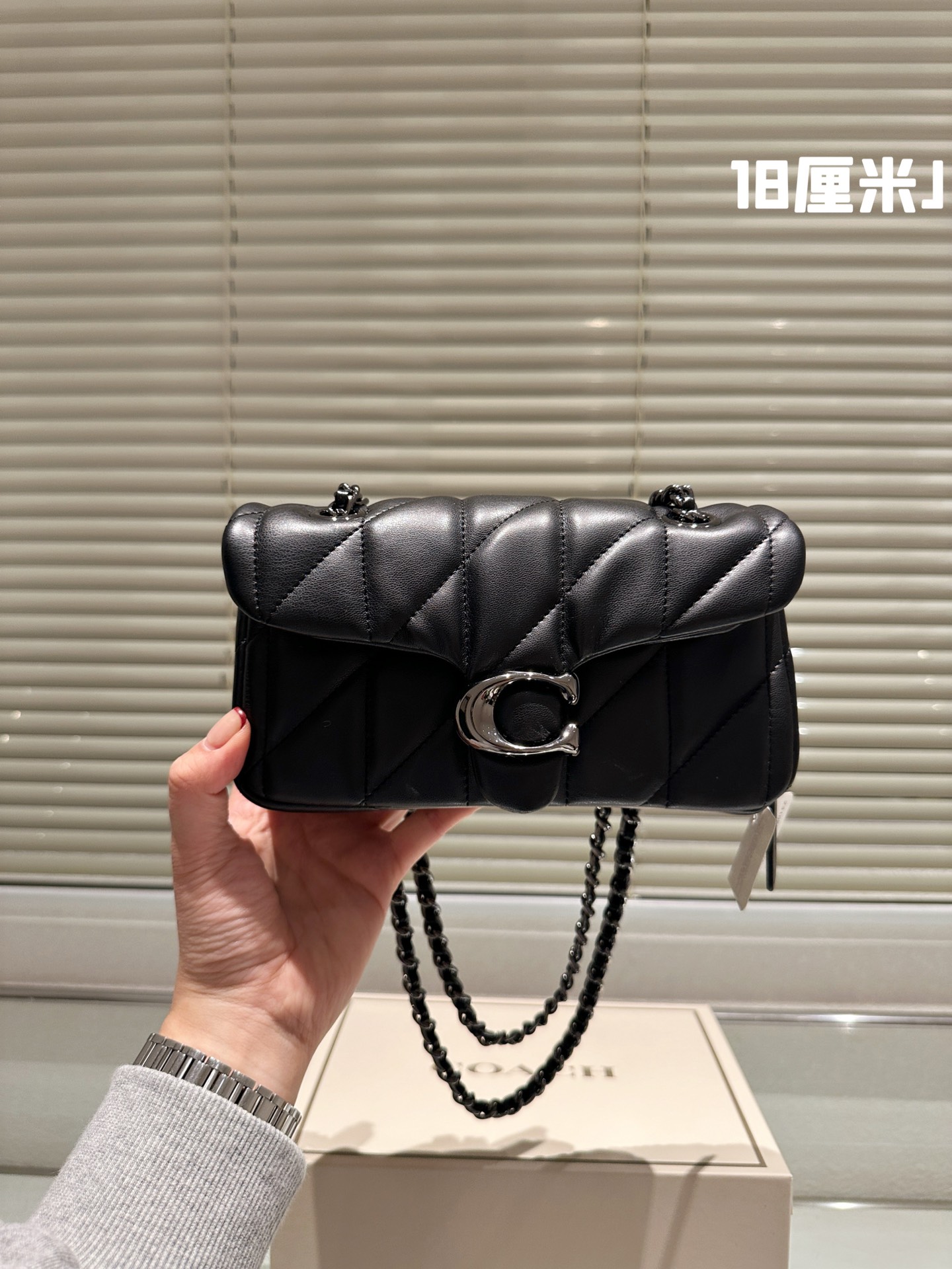 Coach All Black chain Otabby crossbody bag - cnluxepick
