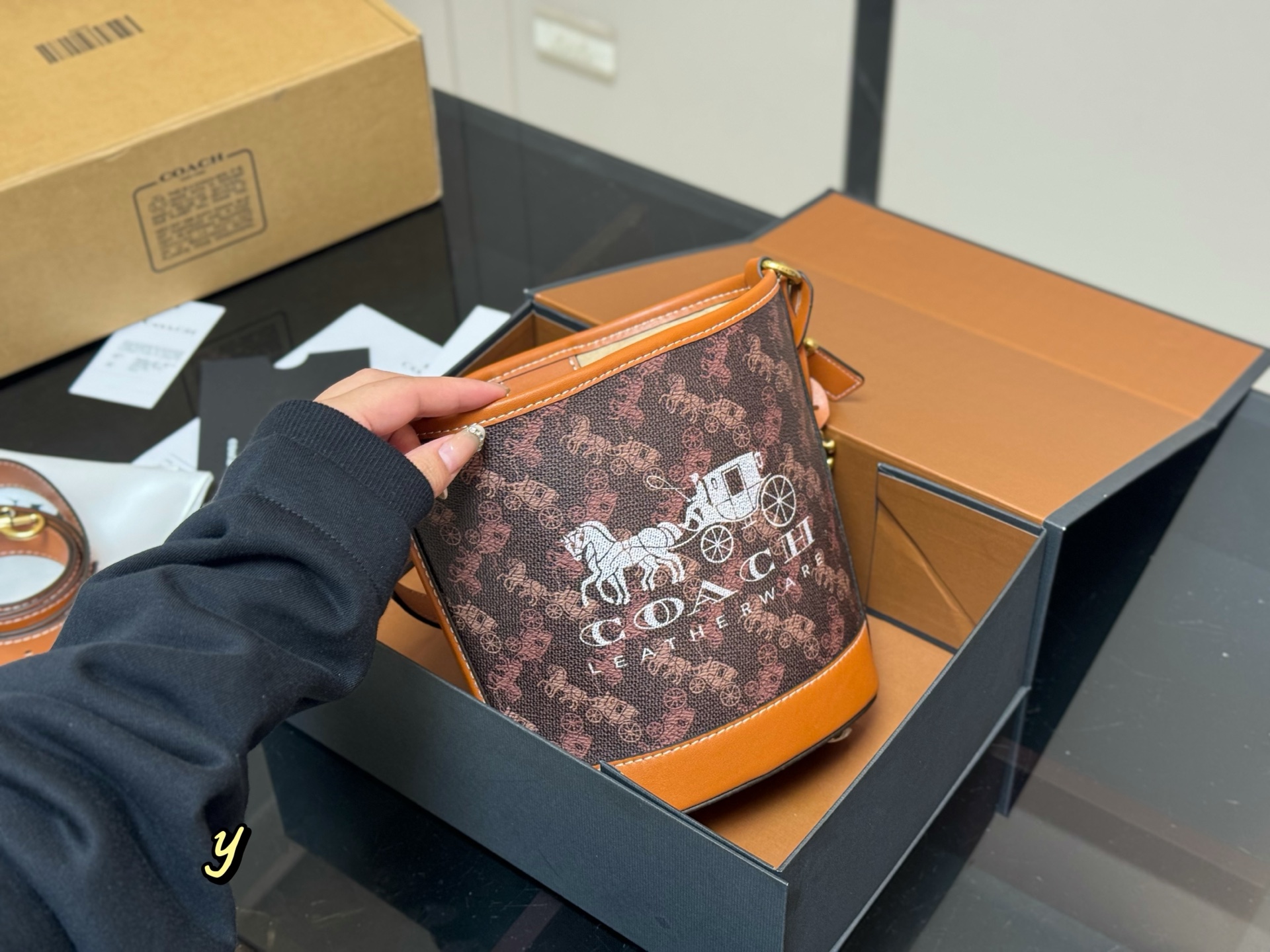 Coach mini carriage bucket bag - cnluxepick