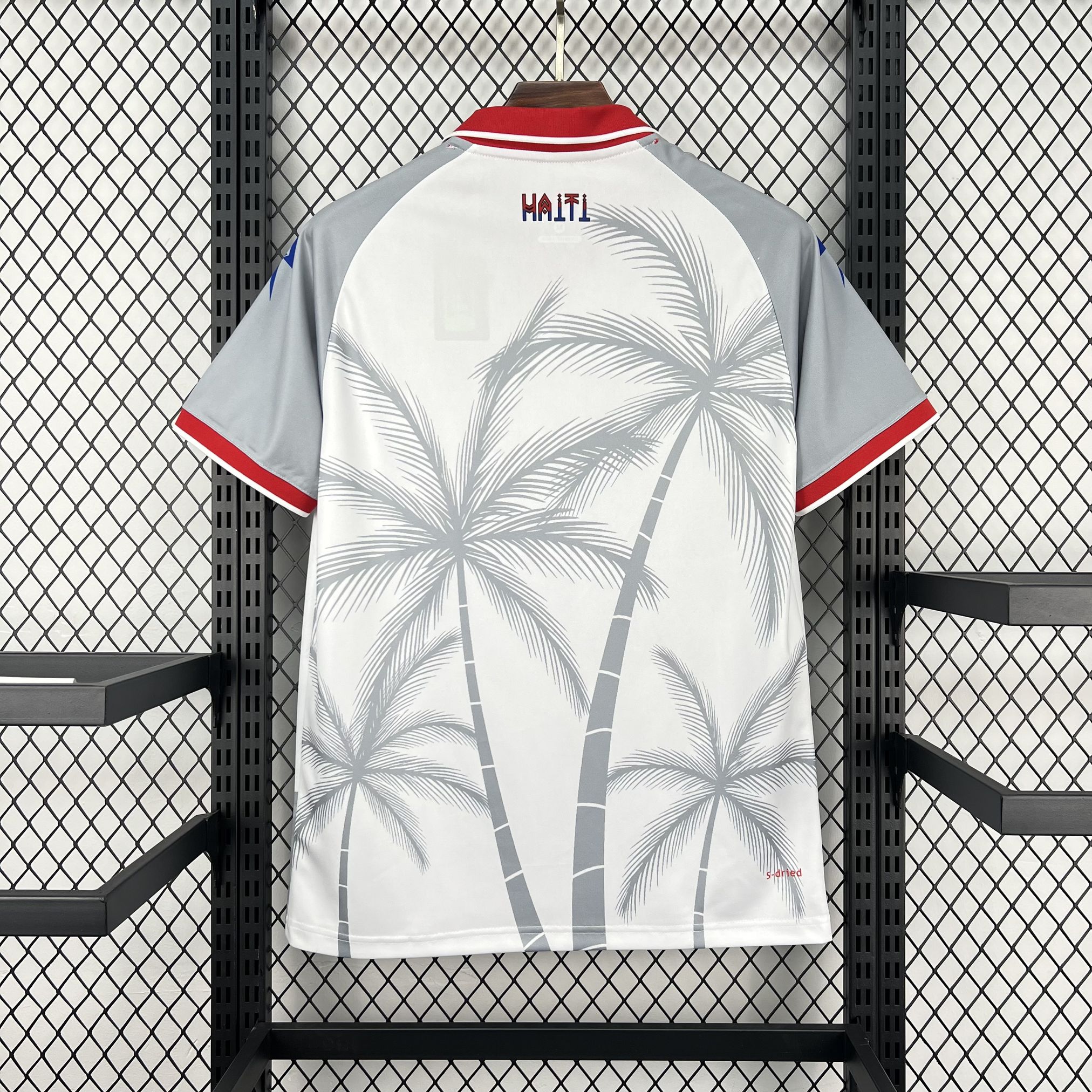 2026/27 Haiti Away Jersey Fan Version S-4XL