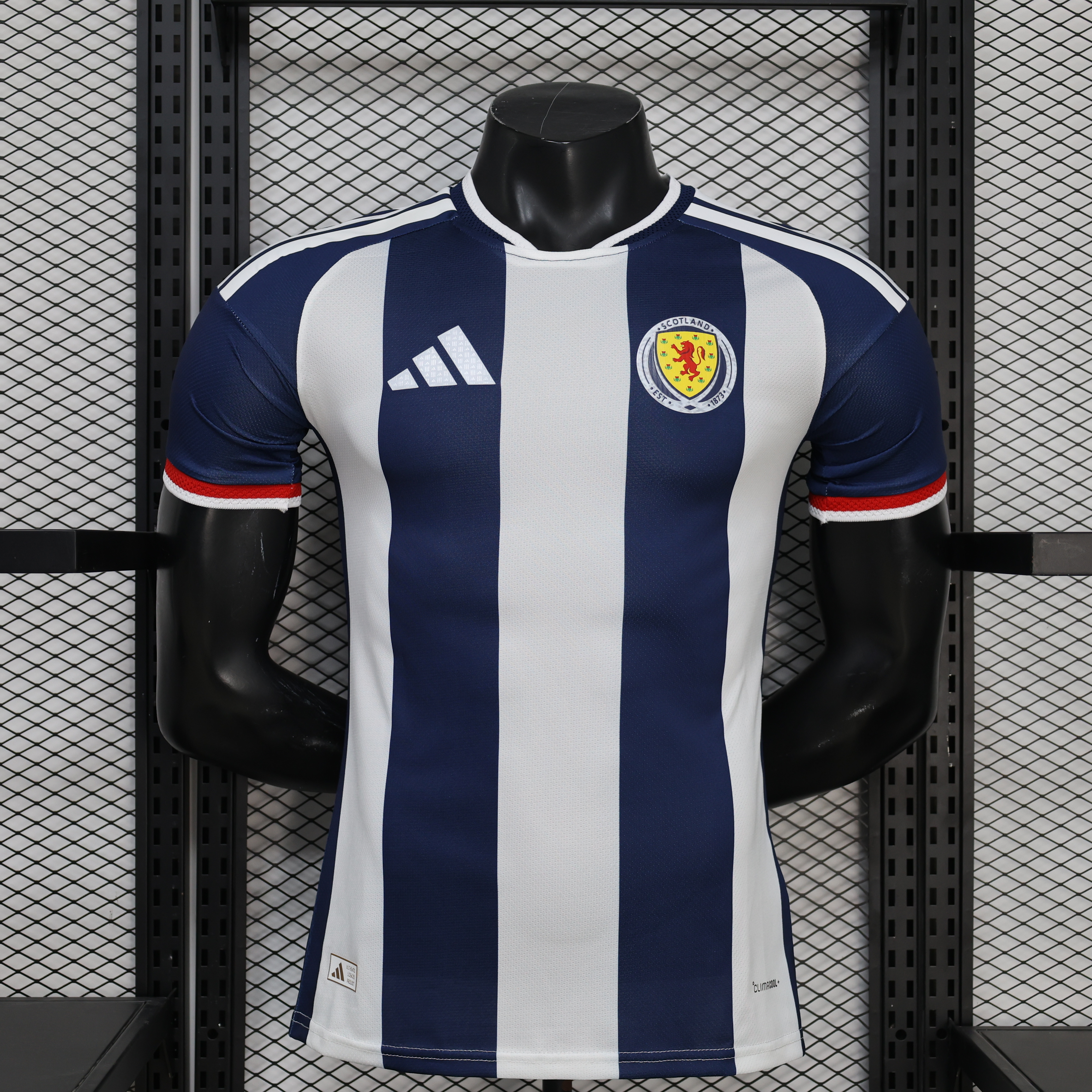 2026 Welsh Special Edition Player Version