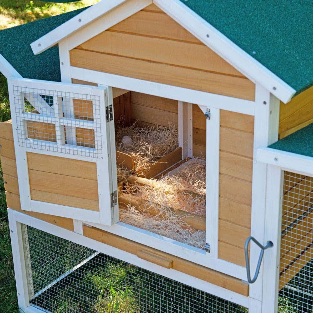 Chick-Inn EGGcelerator Chicken Coop and Hen House