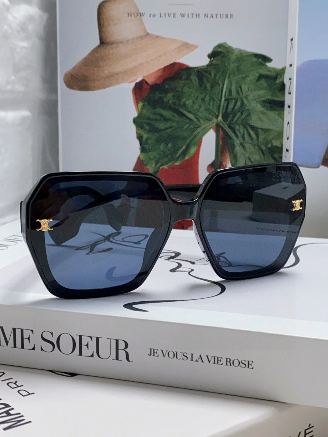 Celine Square Large Frame Arc de Triomphe Sunglasses - cnluxepick