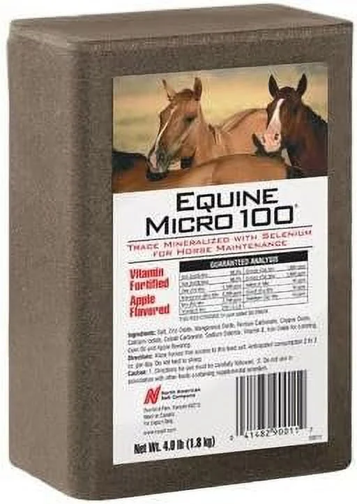 Equine Brick for Horses, 4-Lb.