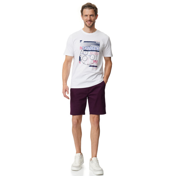 VanVaan Herren T-Shirt mit Print