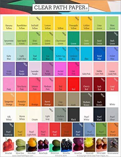 Spearmint Green Cardstock - 12 x 12 inch - 100lb Cover - 25 Sheets