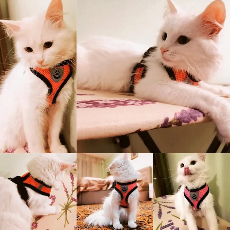 Cat Dog Harness Adjustable Vest Walking