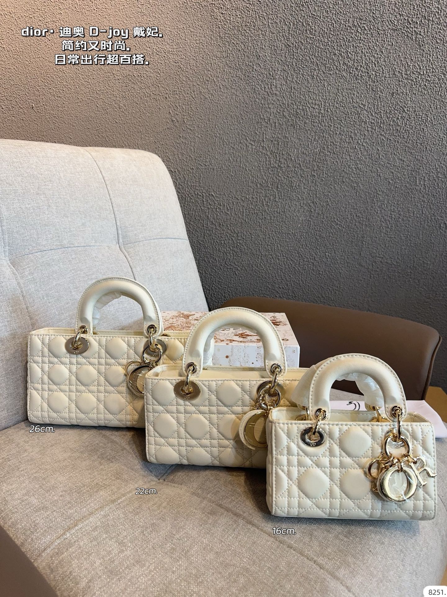 Dior Lady D-joy Horizontal Bag - cnluxepick