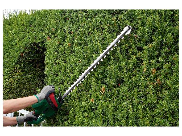 Electric Hedge Trimmer + Telescopic Hedge Trimmer