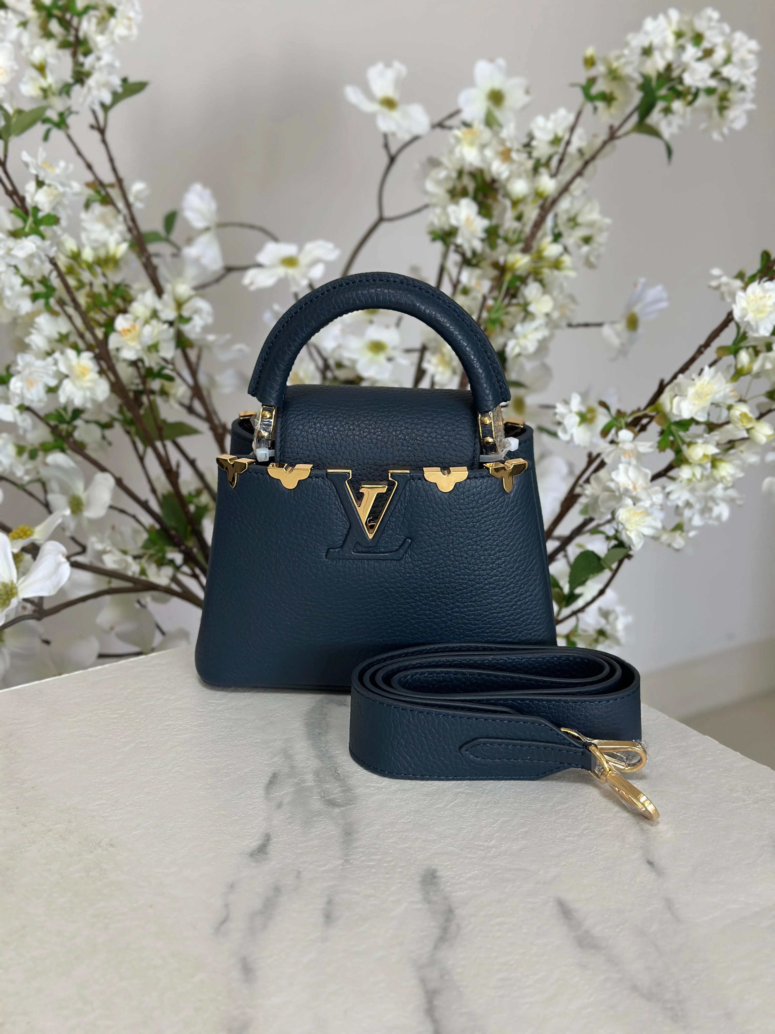 Louis Vuitton Bag | Ćapucines Blue