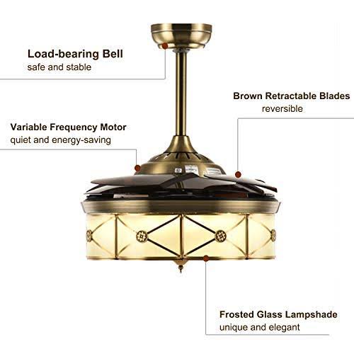 Moooni 36 inch Reversible Retractable Ceiling Fan with Lights and Remote Dimmab