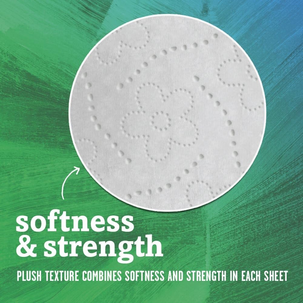 2-Ply 100% Recycled Toilet Paper, 60 Rolls (500 Sheets Per Roll) Septic Safe Bathroom Tissue