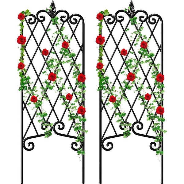 2 Pack Garden Trellis Iron Plant Support Climbing Vines