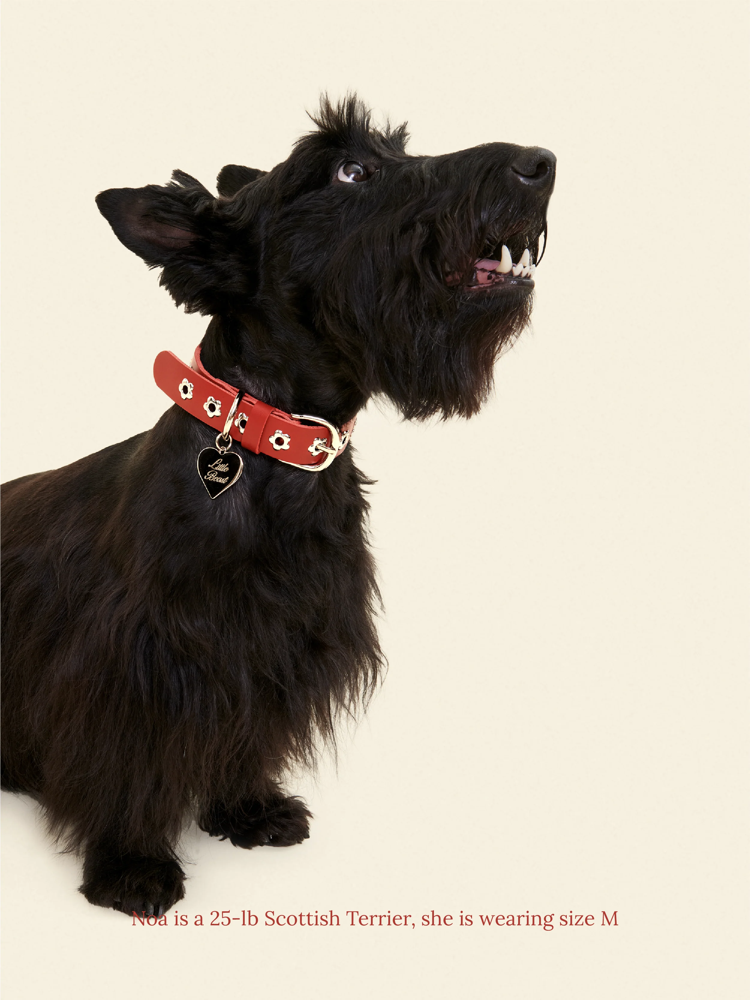 Ruby - Flower Power Collar