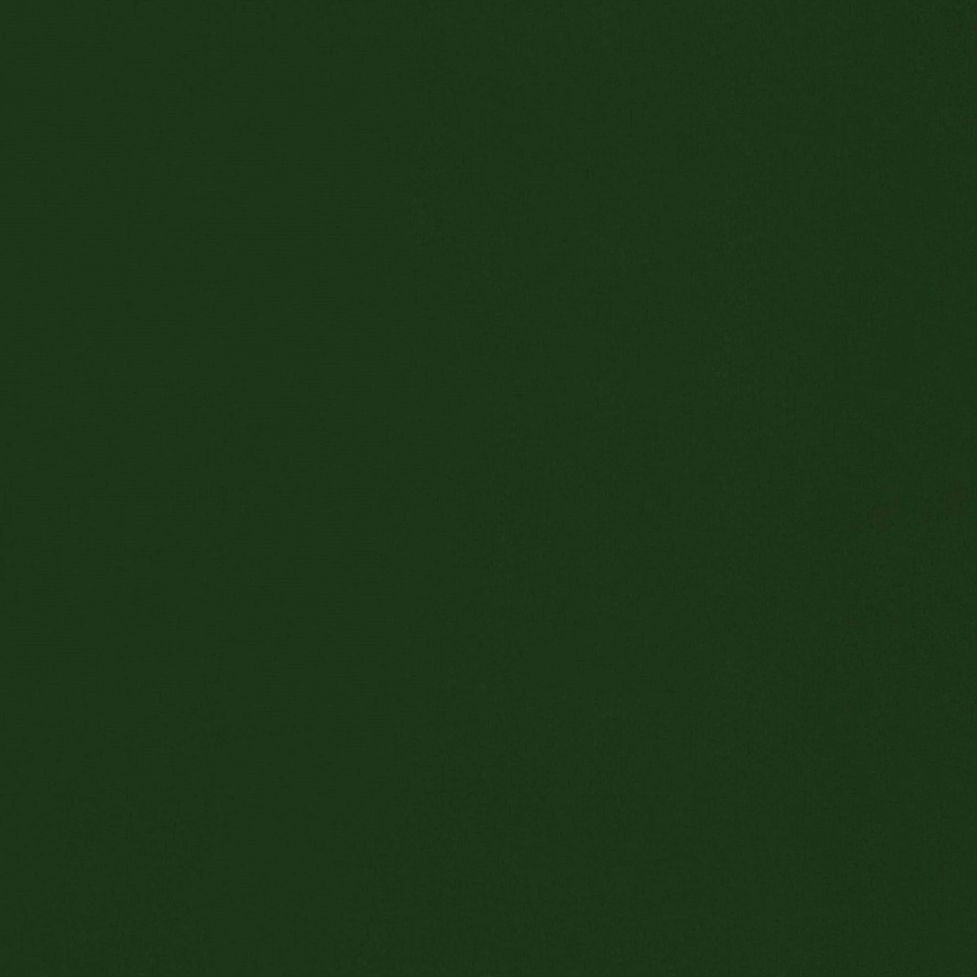 Mozaic Twin Size Hunter Green Futon Mattress - 6-Inch