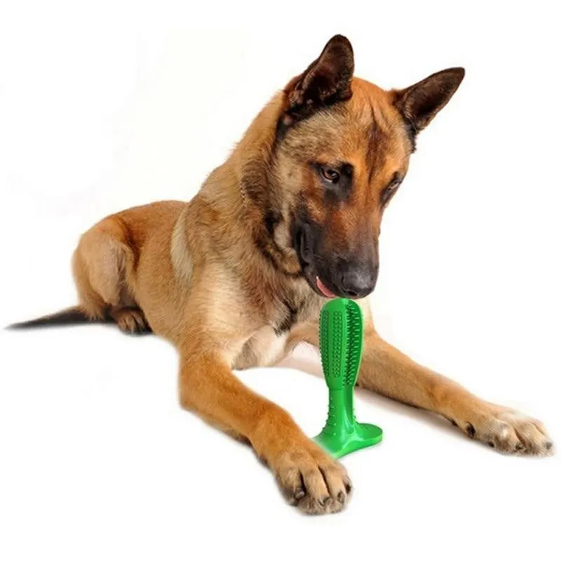 Teeth Cleaning Dog Toothbrush & Chew Toy