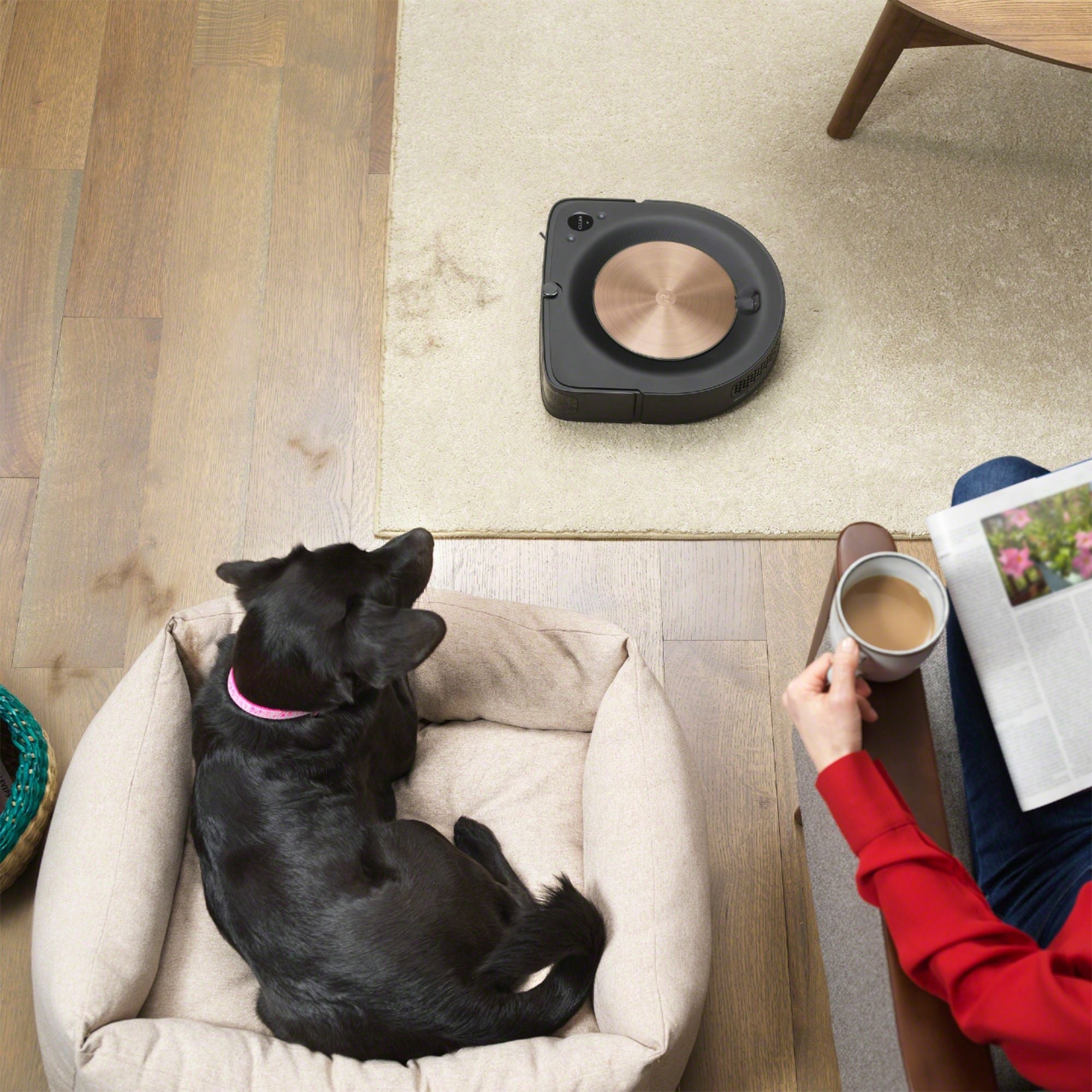 iRobot Roomba s9+ (9550) Wi-Fi Connected Self-Emptying Robot Vacuum - Java Black