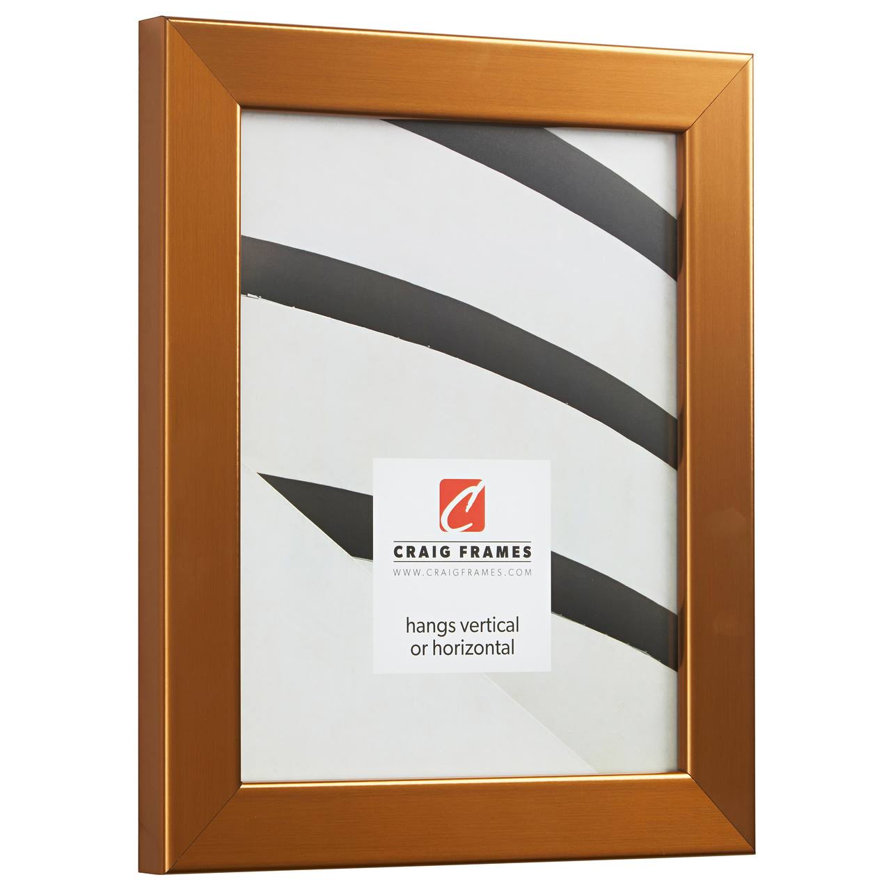 Craig Frames Bauhaus 125 Picture, 12 x 18 inch, Stainless Brass