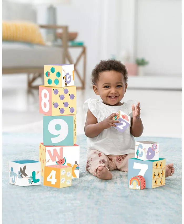 Skip Hop ABC and Me Nesting Blocks