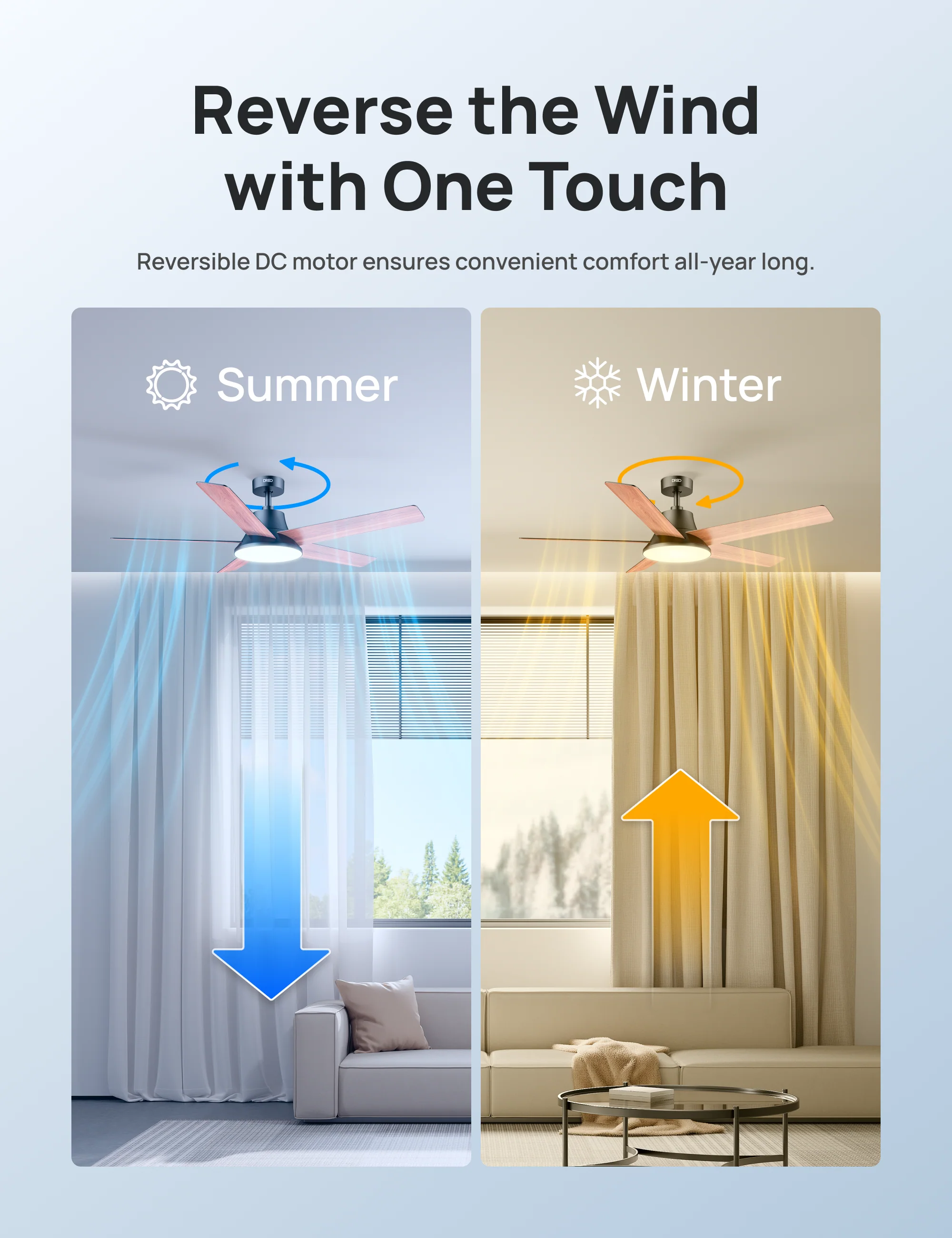 Ceiling Fan CLF521