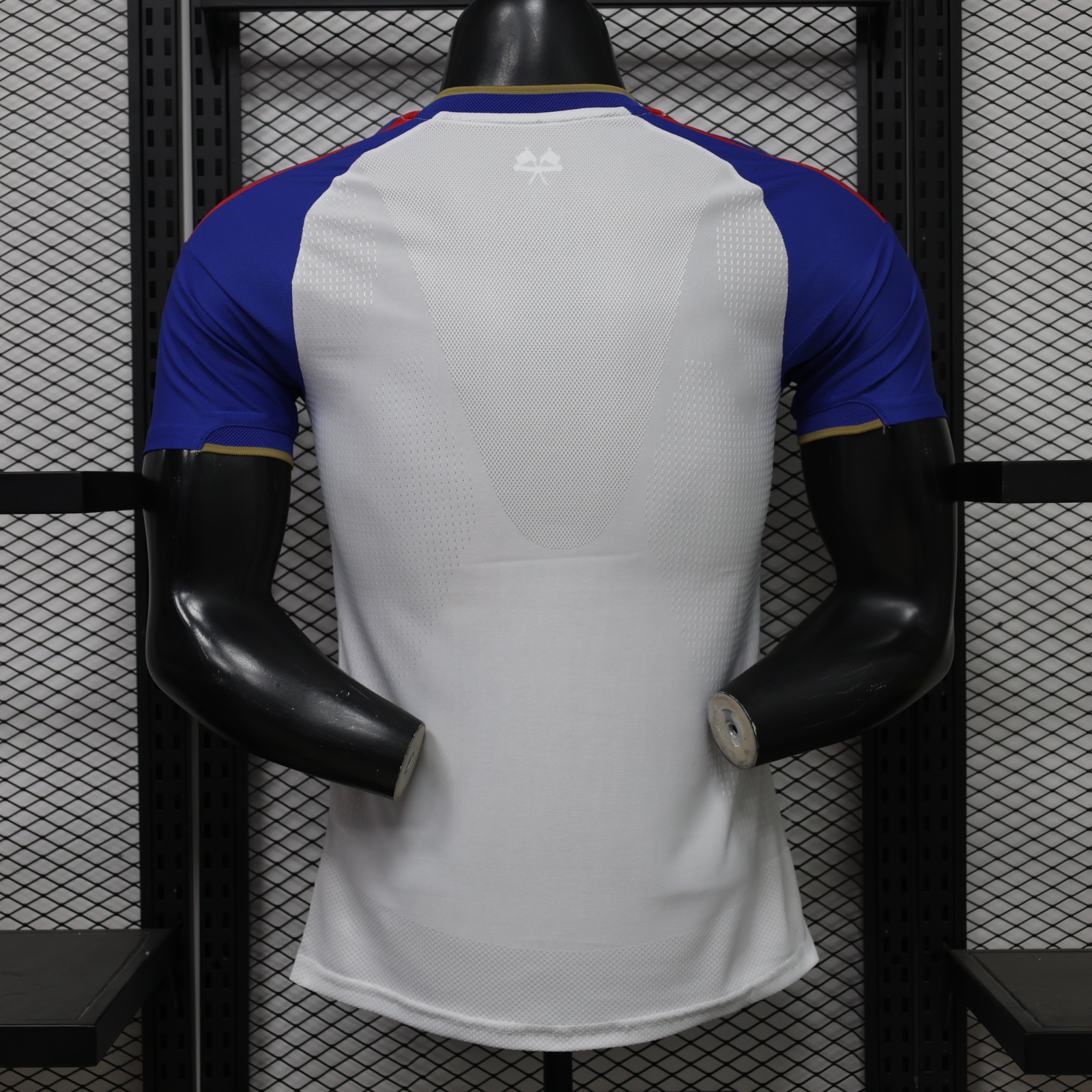 Player Version Lyon Men's Home Jersey 26-27