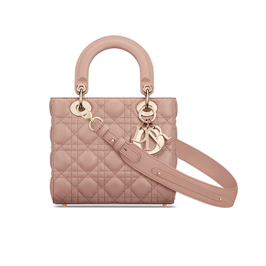 Dior Bag | Small Lady My Abcdior