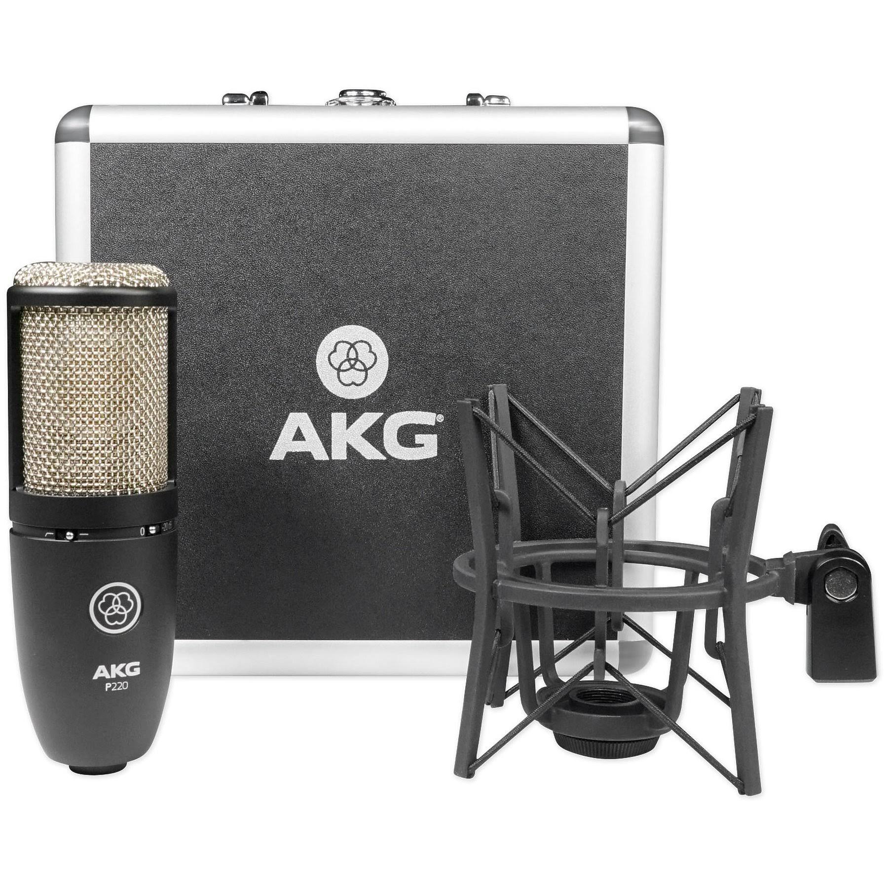 AKG P220 Condenser Microphone