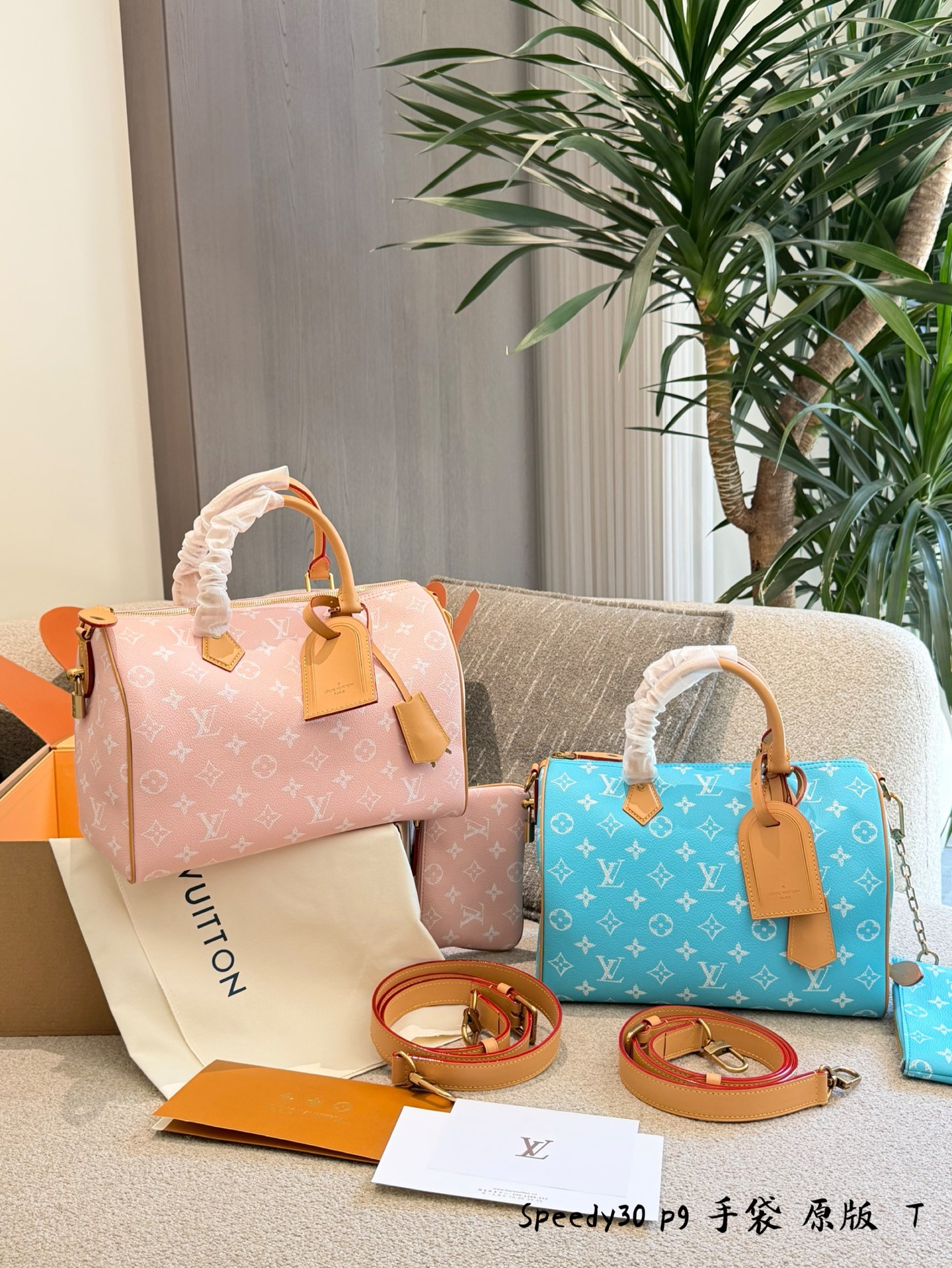 Louis Vuitton Speedy P9 Bandoulière 30 - cnluxepick