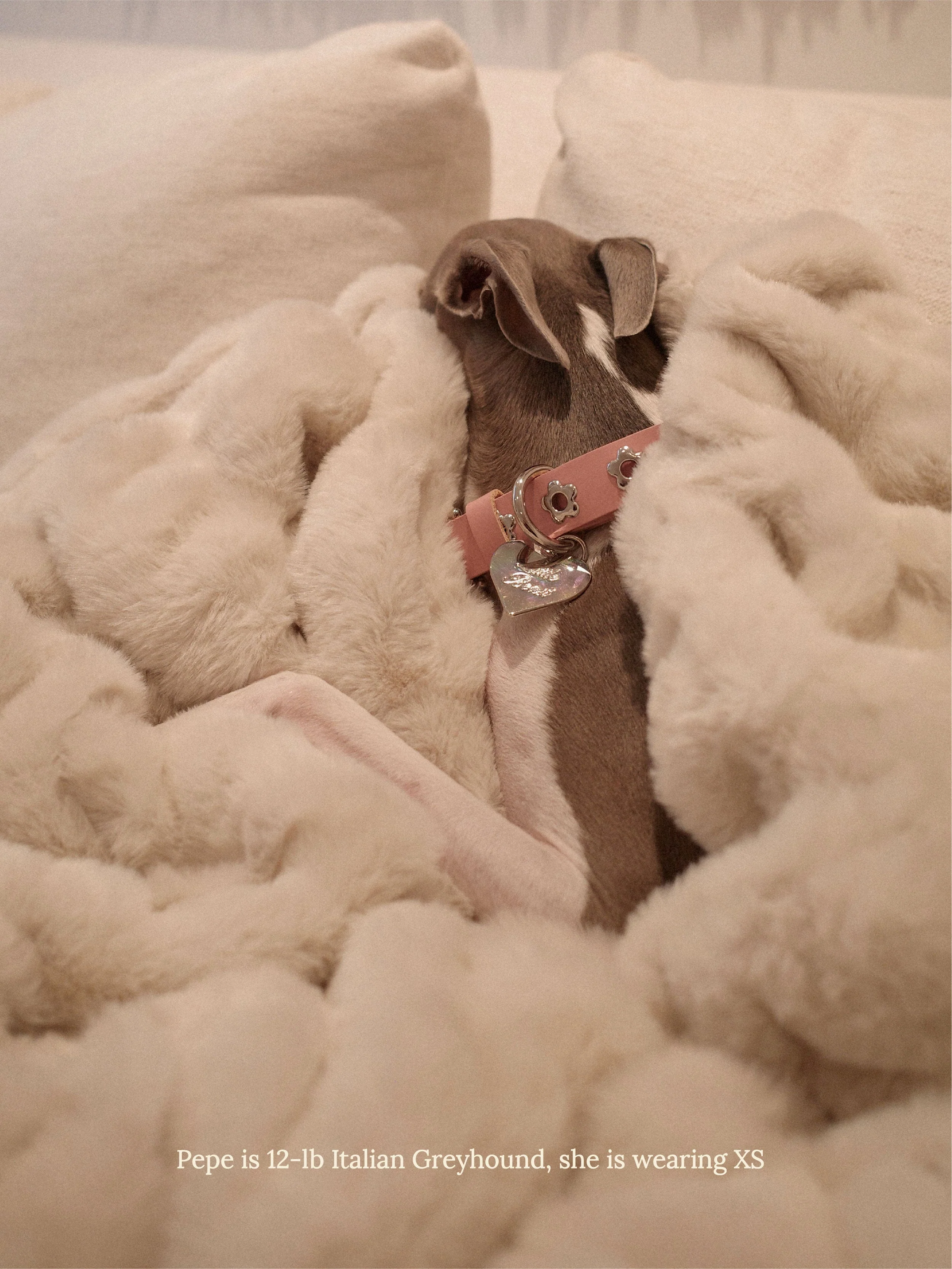 Audrey - Flower Power Collar