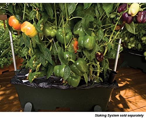EarthBox Container Gardening System – Green