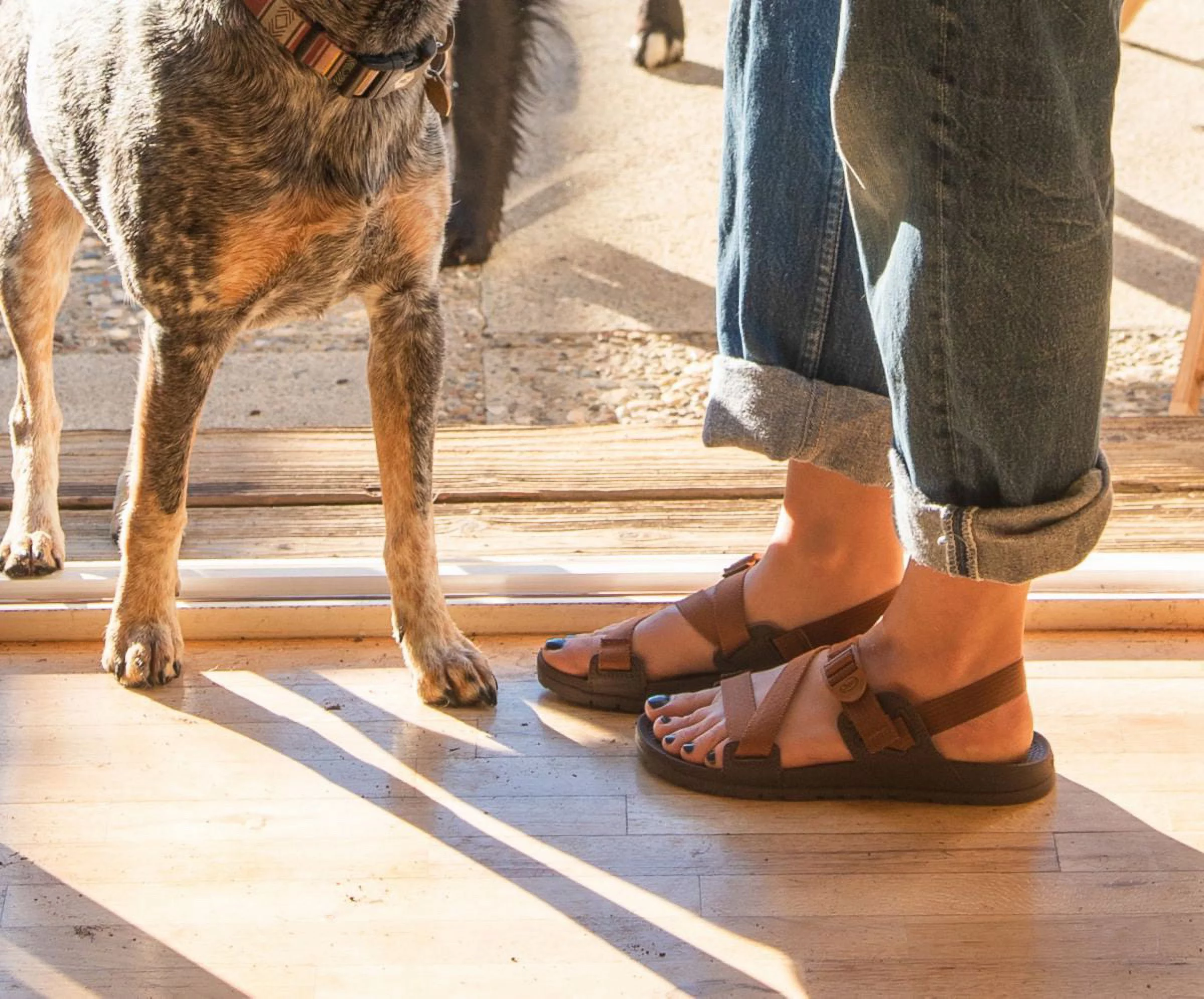Chaco Lowdown Sandal Women Black