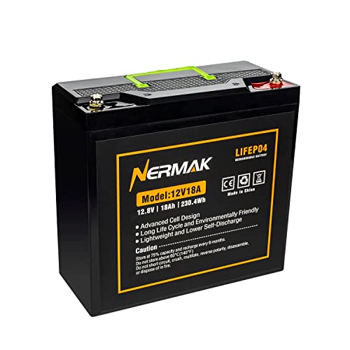 2 Pack 12V 10Ah Lithium Ion LiFePO4 Deep Cycle Battery, 2000+ Cycles Rechargeable Battery for Solar/Wind Power, UPS, Scooters, Lighting, Power Wheels, Fish Finder Built-in 10A BMS
