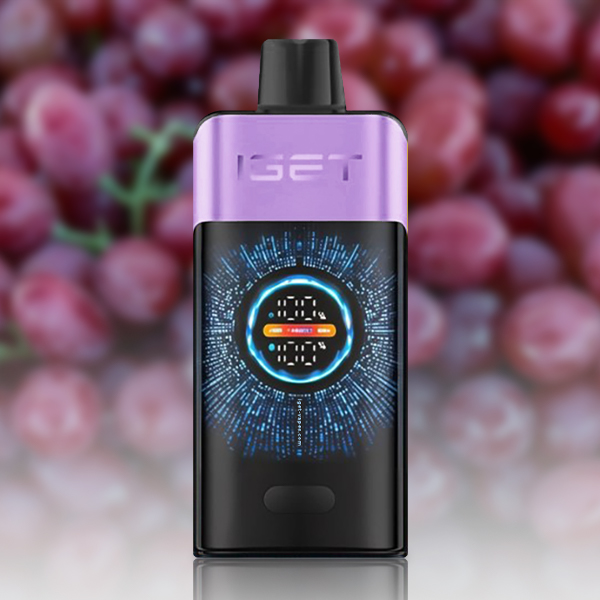IGET ONE 12000 Puffs Disposable Vape|3-5-10pcs