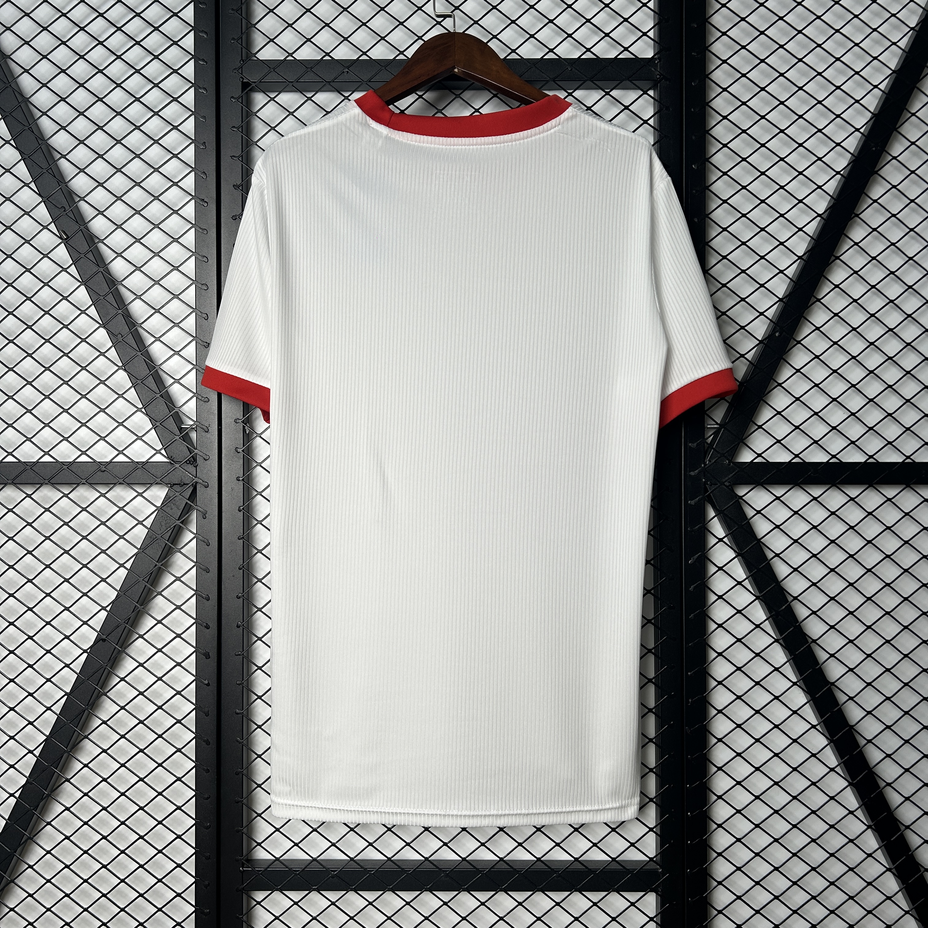 SL Benfica Commemorative Edition Man Jersey 25/26
