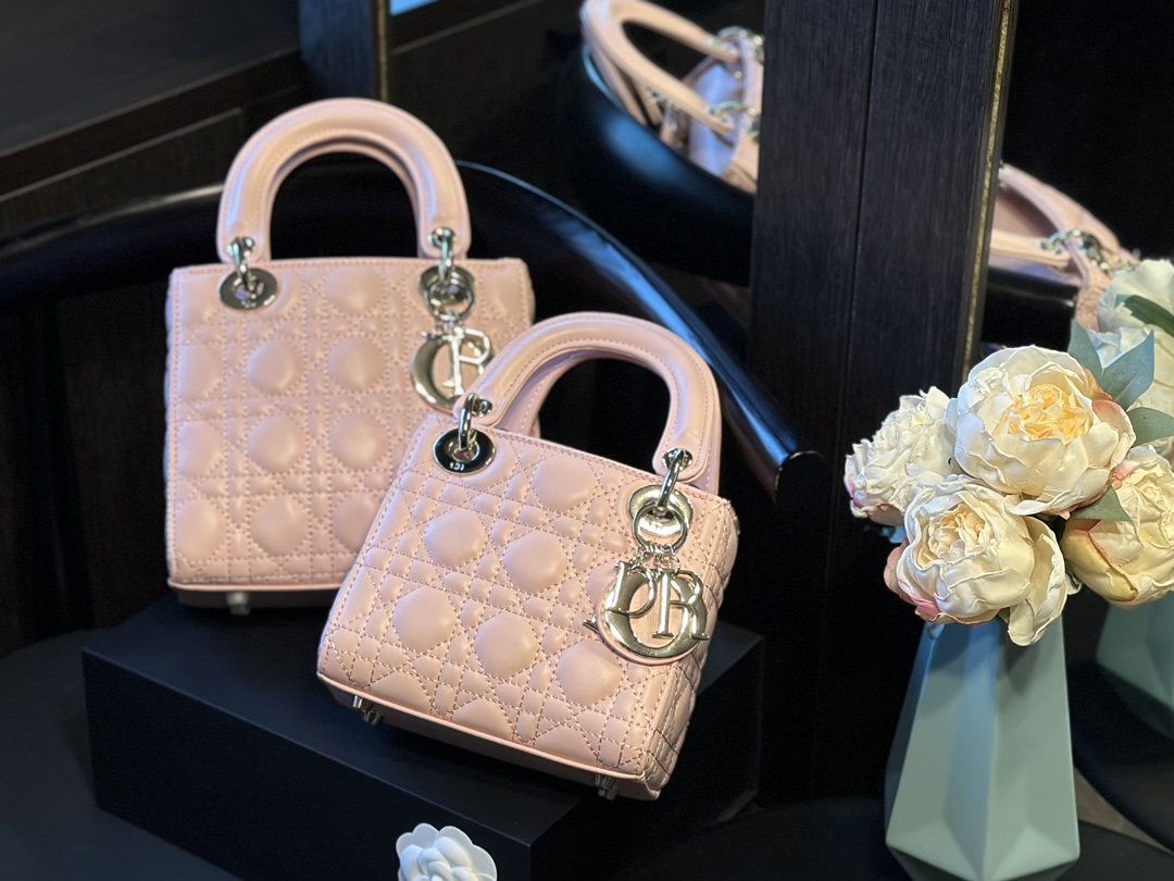 Dior Lady bag Silver buckle - cnluxepick