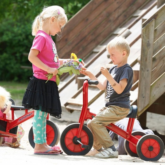 Viking Tricycle, Small, 20″