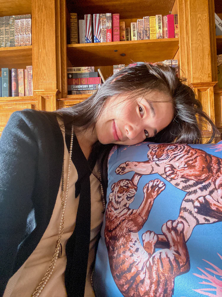 BD047 (Single) - Rhino Life Rare Color H Silk Playful Tiger Sofa Waist Pillow: Silk Feel