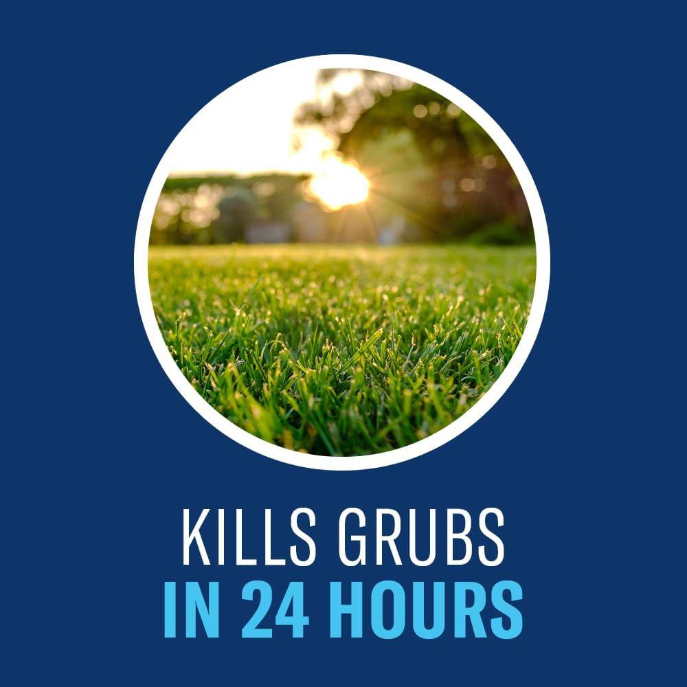 BIOADVANCED 10 lb. 24-Hour Grub Killer Plus Granules