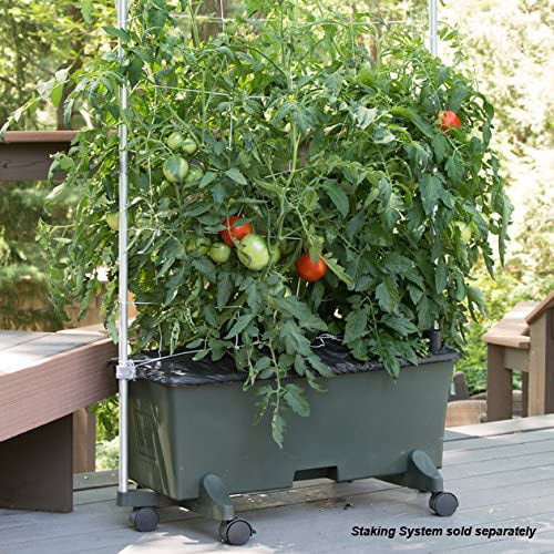 EarthBox Container Gardening System – Green