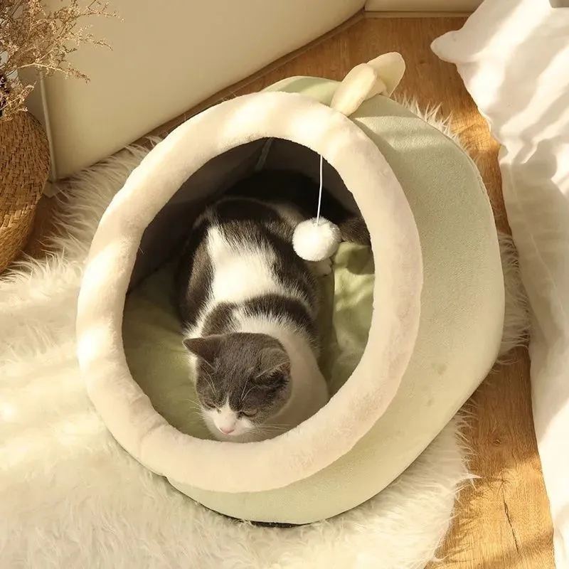 Best Sweet Cat Bed