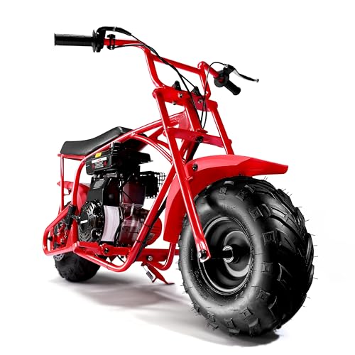 Oryxearth 105CC 4-Stroke Mini Bike for Adult, Gas Powered with Automatic Transmission and Pull Start, Best Gift for Kids