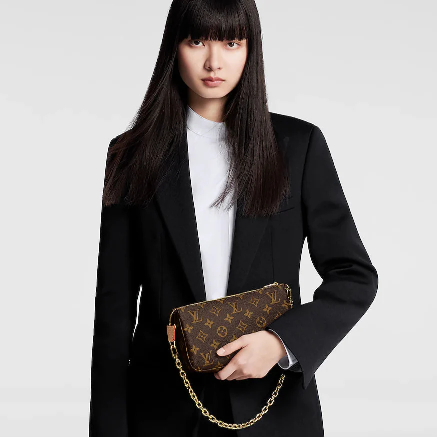 Louis Vuitton Monogram Canvas Pochette Accessoires - Dark Brown